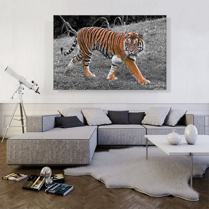 Tiger In Forest