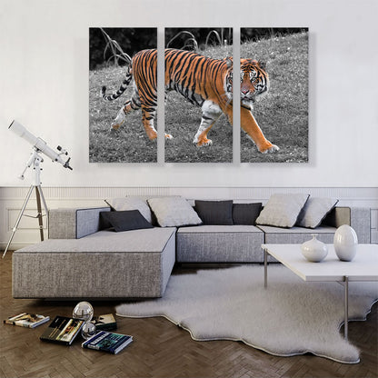 Tiger In Forest