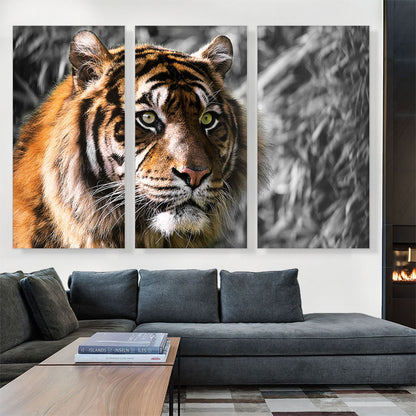 Tiger With Green Eyes In Jungle