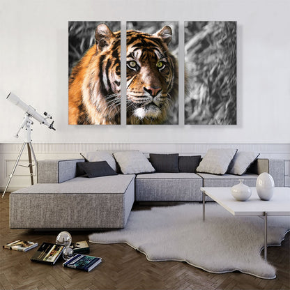 Tiger With Green Eyes In Jungle