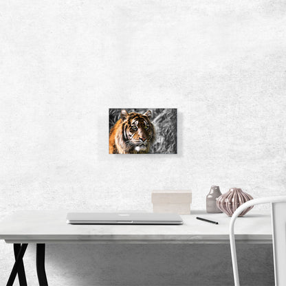 Tiger With Green Eyes In Jungle