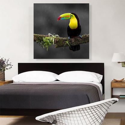 Toucan Bird Green Branch Forest