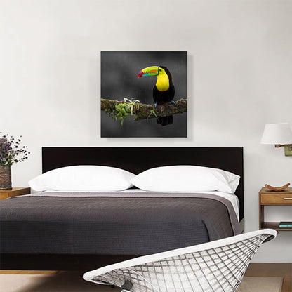 Toucan Bird Green Branch Forest
