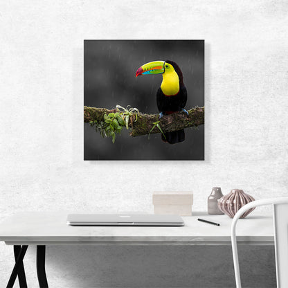 Toucan Bird Green Branch Forest