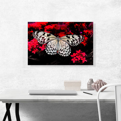White Butterfly Over Red Flowers