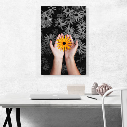 Woman Holding Orange Flower Daisy Garden