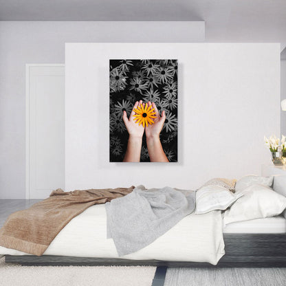 Woman Holding Orange Flower Daisy Garden
