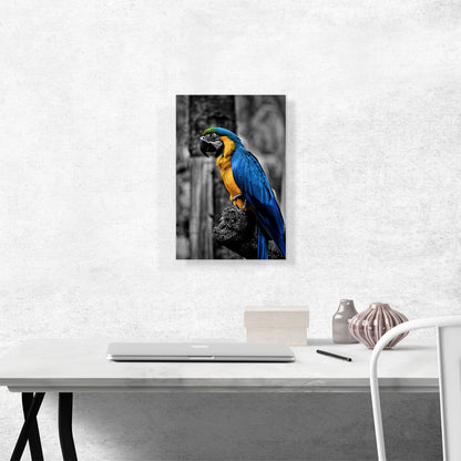 Yellow And Blue Ara Parrot On The Branch