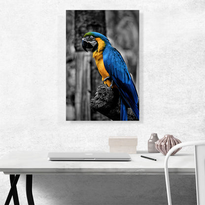 Yellow And Blue Ara Parrot On The Branch