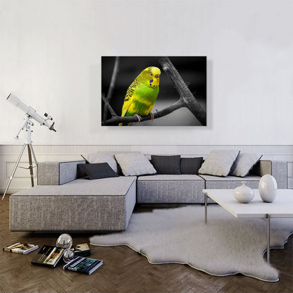 Yellow And Green Parakeet Parrot On Branch