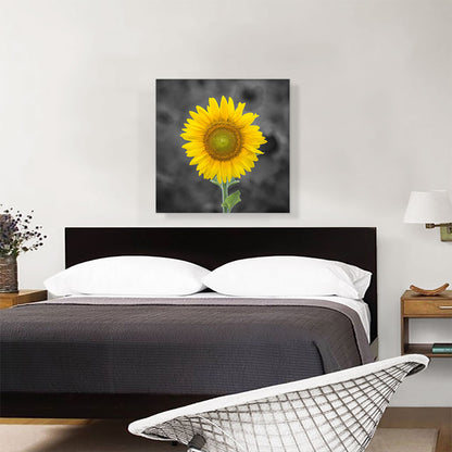 Yellow Sunflower In Farm Field