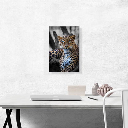 Blue Eyed Leopard On Log