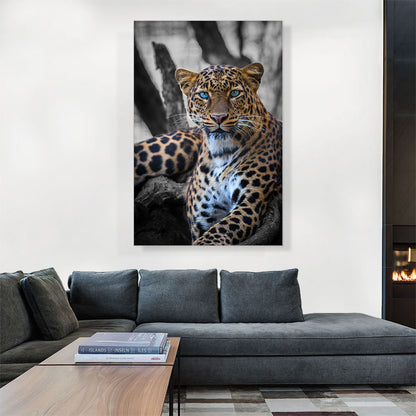 Blue Eyed Leopard On Log