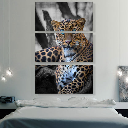 Blue Eyed Leopard On Log