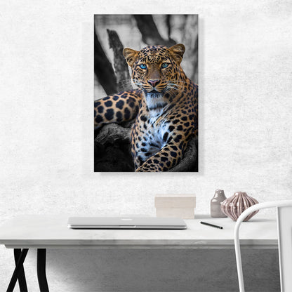 Blue Eyed Leopard On Log