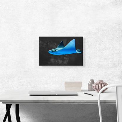 Blue Stingray Manta Ray In The Ocean