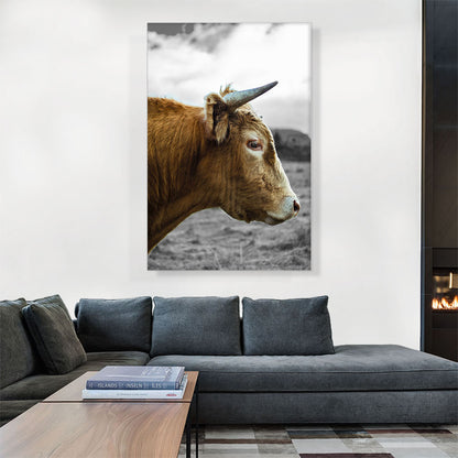 Brown Cow Bull Village Farm Field