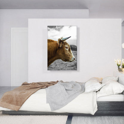 Brown Cow Bull Village Farm Field
