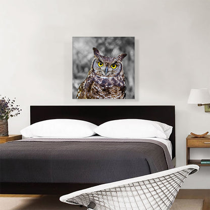 Brown Owl In Forest