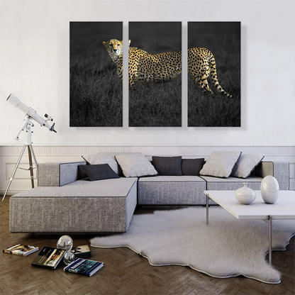Cheetah Looking For Prey In African Savannah