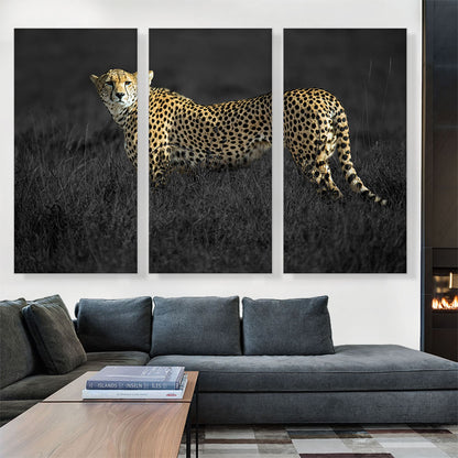Cheetah Looking For Prey In African Savannah