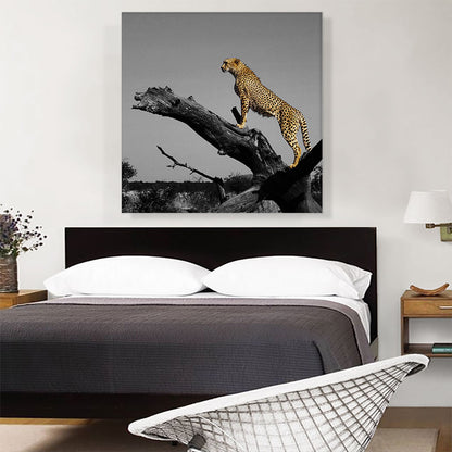Cheetah Looking For Prey On Branch African Savannah