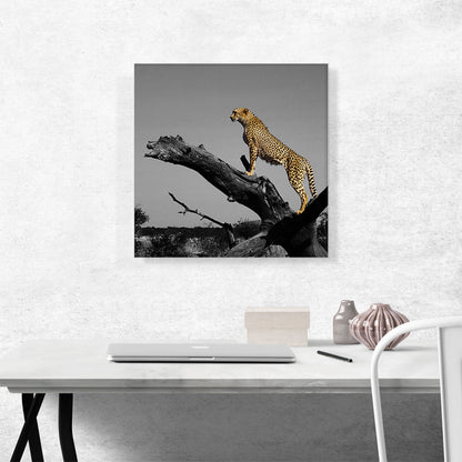 Cheetah Looking For Prey On Branch African Savannah
