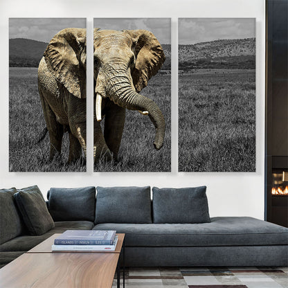 Elephant In African Savannah Grass Field