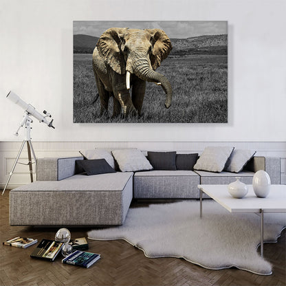 Elephant In African Savannah Grass Field