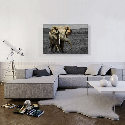 Elephant In African Savannah Grass Field