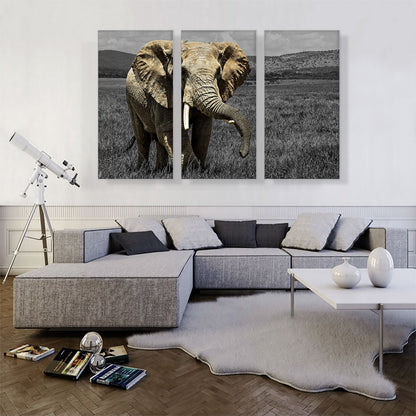 Elephant In African Savannah Grass Field