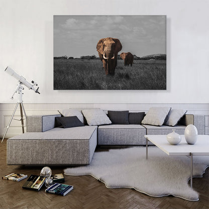 Elephant In African Savannah
