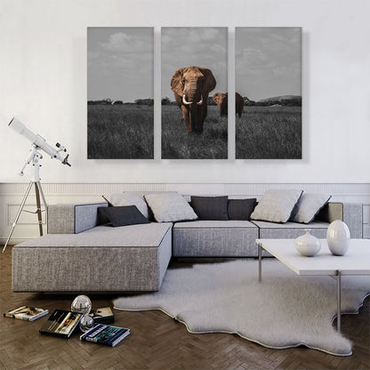 Elephant In African Savannah