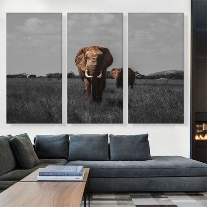 Elephant In African Savannah
