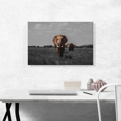 Elephant In African Savannah