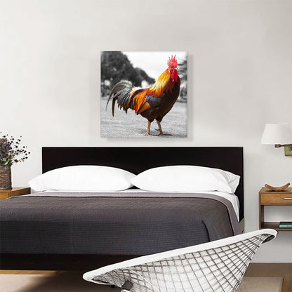 Farm Rooster In Yard