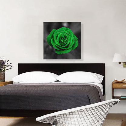 Green Rose Flower In Garden