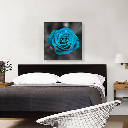 Baby Blue Rose Flower In Garden