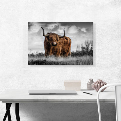 Highland Calf Bull In The Mountain