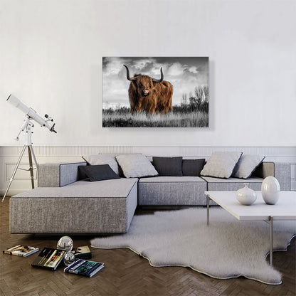 Highland Calf Bull In The Mountain
