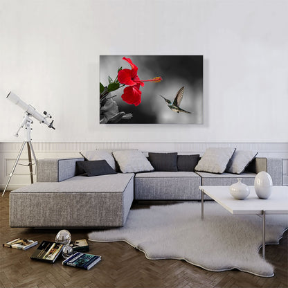Hummingbird Flying Red Flower