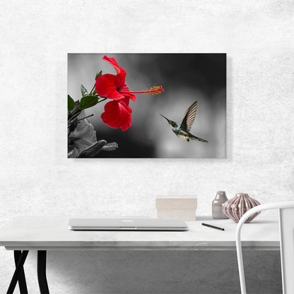 Hummingbird Flying Red Flower