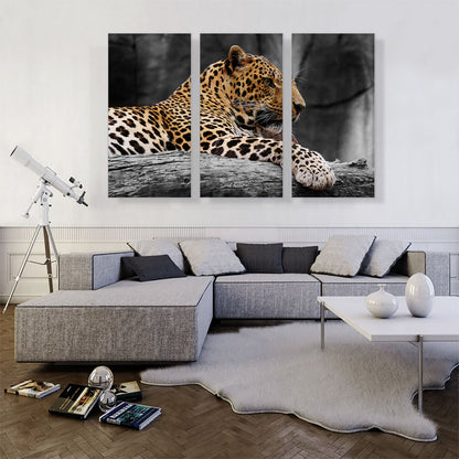 Leopard On Log