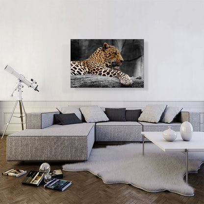 Leopard On Log