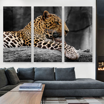 Leopard On Log