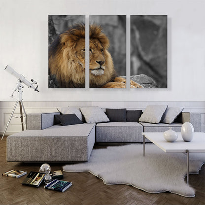 Lion Resting Under The Tree