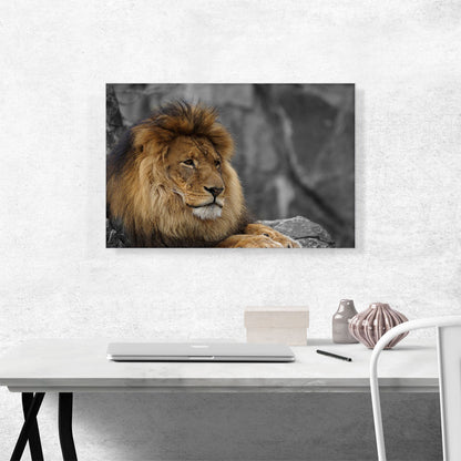 Lion Resting Under The Tree
