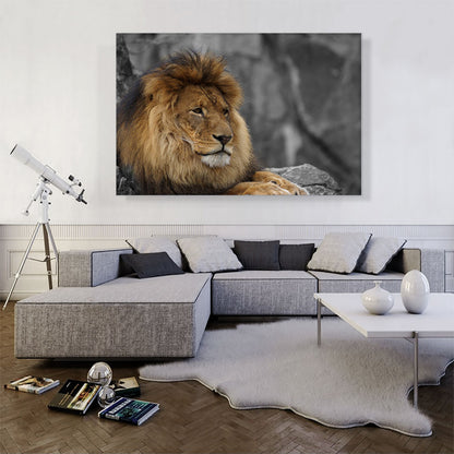 Lion Resting Under The Tree