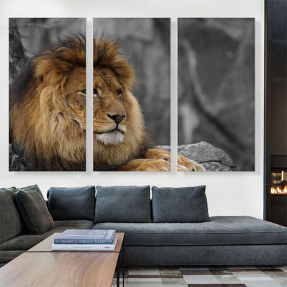 Lion Resting Under The Tree