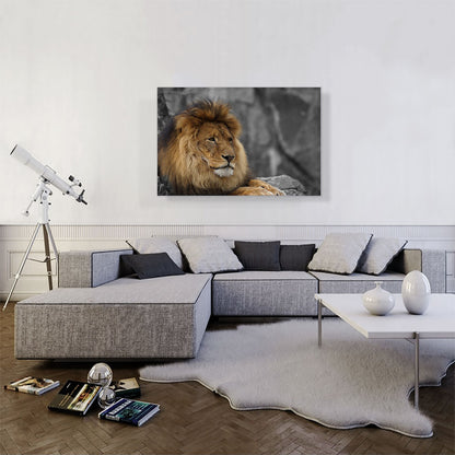 Lion Resting Under The Tree